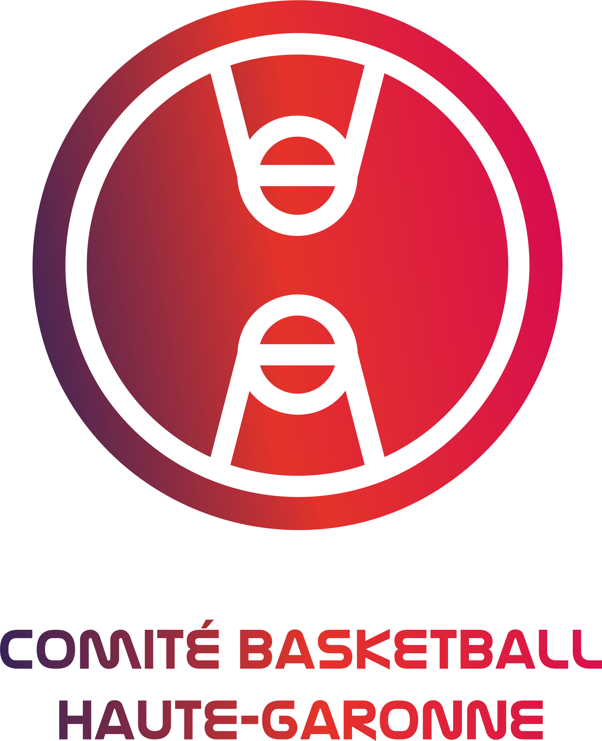 Comité basketball Haute-Garonne