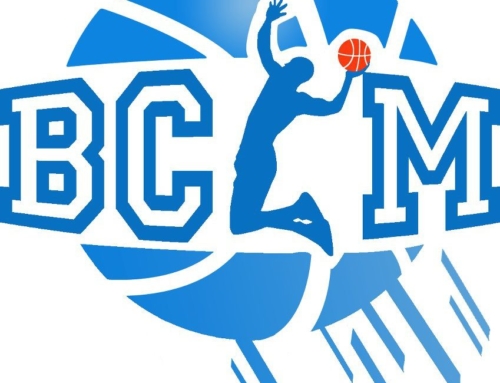 BCLM : à vendre Panier de Basket